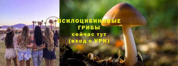 ешки Няндома
