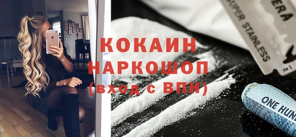 ешки Няндома