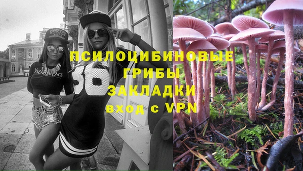 прущая мука Новозыбков