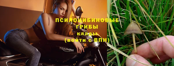 прущая мука Новозыбков
