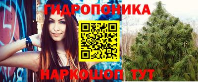 эйфоретик Гусь-Хрустальный