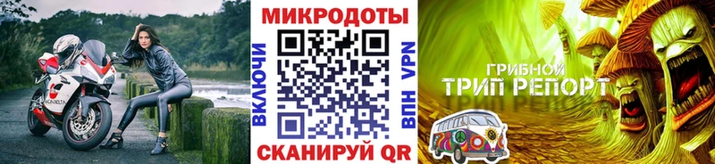 дарнет шоп Полысаево Псилоцибиновые грибы мухоморы